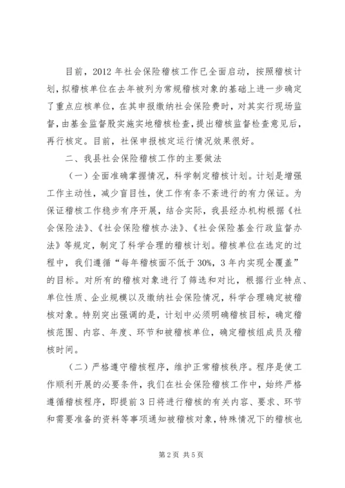 县社会保险稽核工作汇报.docx