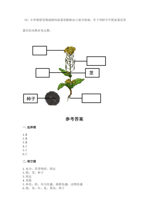 科学四年级下册第一单元植物的生长变化测试卷【能力提升】.docx