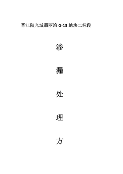 渗漏处理专项方案.docx