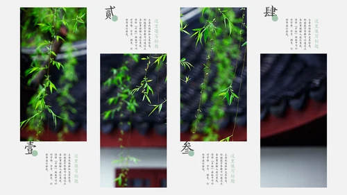 嫩绿树芽工作总结通用PPT模板