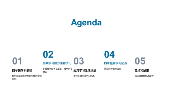 四年级学习之旅
