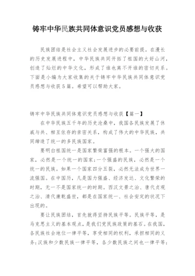 铸牢中华民族共同体意识党员感想与收获.docx