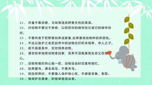 大熊猫国际野生动物保护日PPT模板