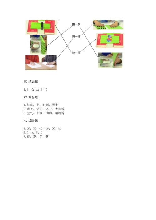 教科版二年级上册科学期末测试卷a4版打印.docx