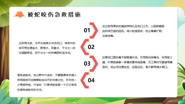 夏令营开营仪式通用PPT模板