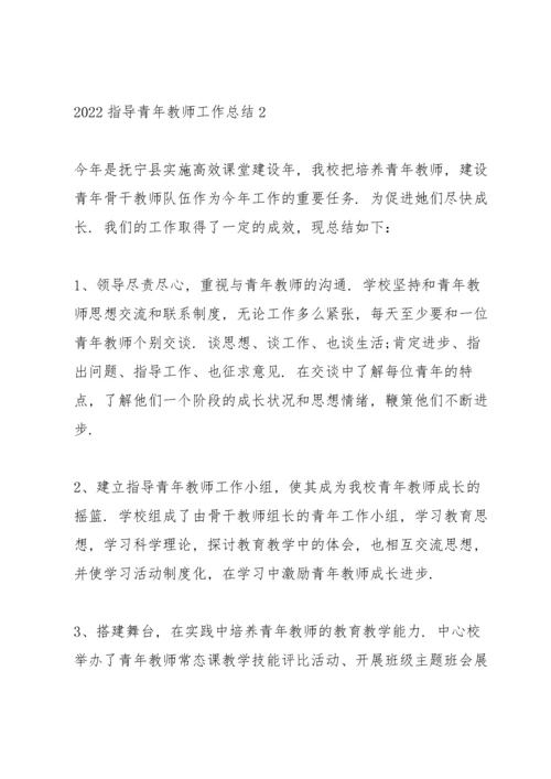 2022指导青年教师工作总结7篇.docx