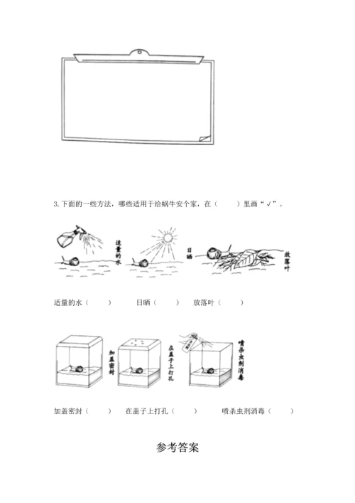 教科版一年级下册科学期末测试卷重点班.docx