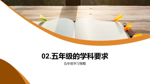 五年级的探索与成长