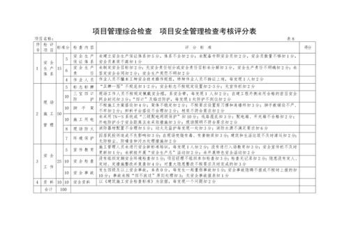 项目管理检查考核评分表.docx