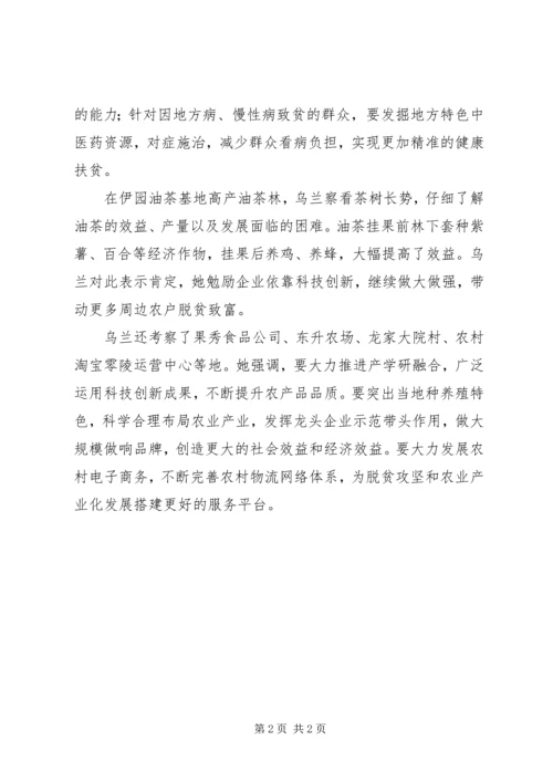 健康扶贫推进会 (2).docx