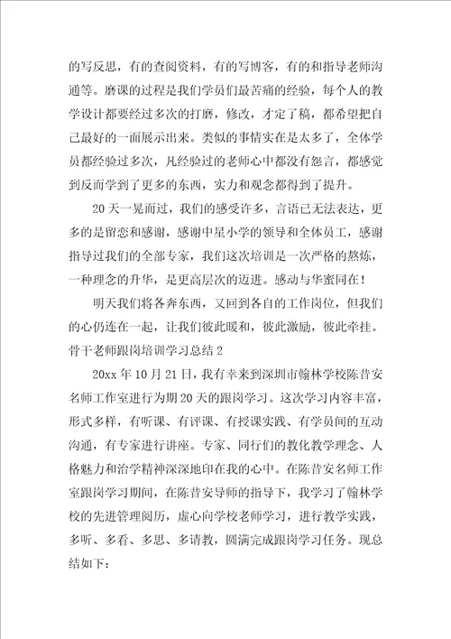 骨干教师跟岗培训学习总结