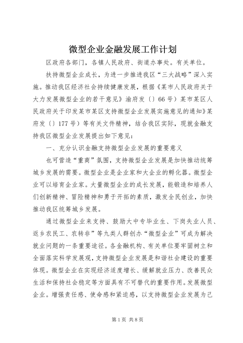 微型企业金融发展工作计划.docx