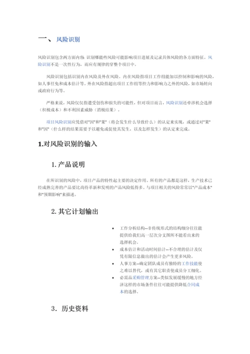 项目风险管理.docx