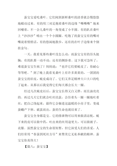 蚕宝宝的作文-1.docx