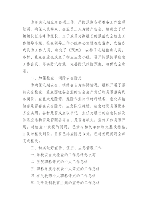 汛前安全检查工作总结.docx