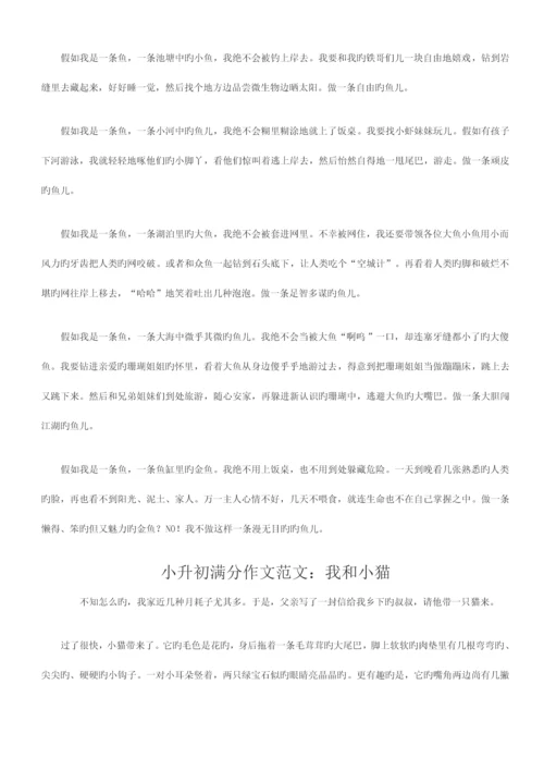 2023年小升初满分作文优质资料.docx