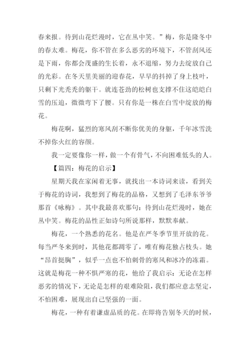 梅花的启示作文300字.docx