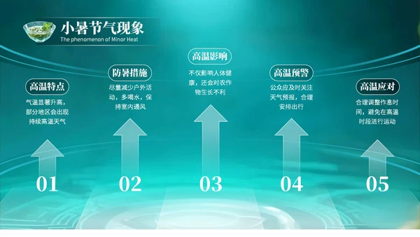 绿色创意风小暑节气讲解节气知识PPT模板