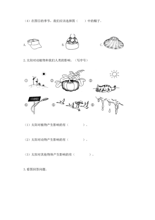 教科版科学二年级上册《期末测试卷》精编.docx