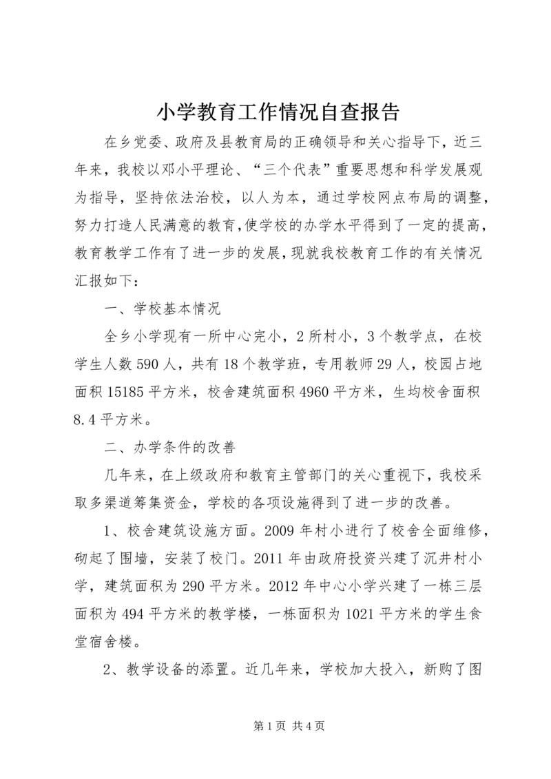 小学教育工作情况自查报告.docx