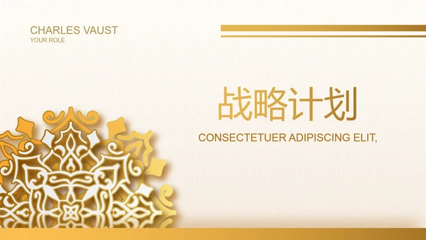 高端霸气创业融资计划书商业计划书PPT模板