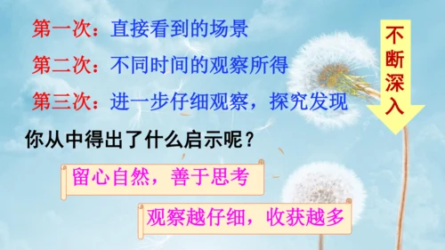 第16课《金色的草地》（第二课时）课件