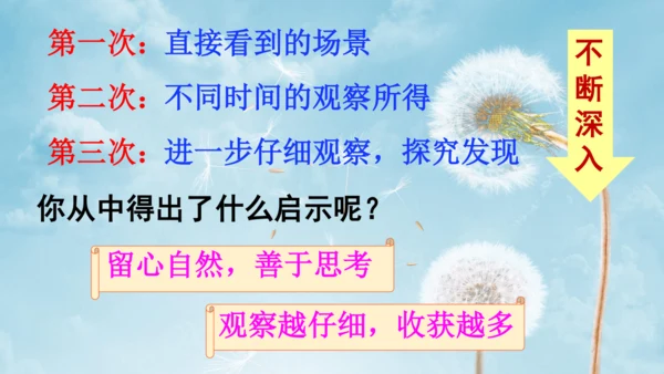 第16课《金色的草地》（第二课时）课件