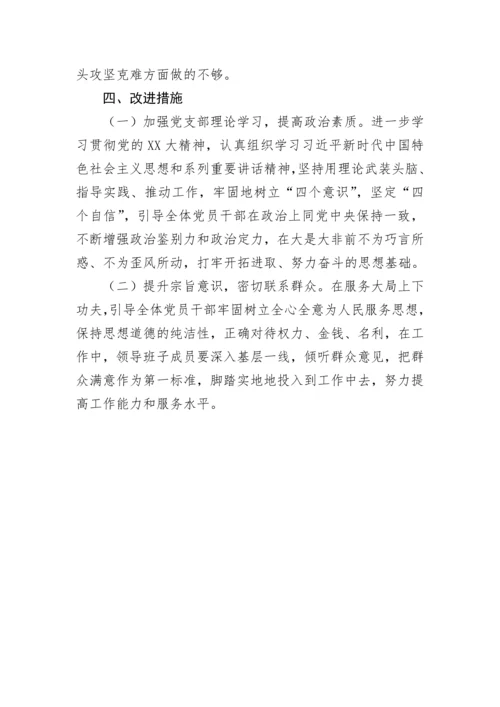 【情况报告】党支部关于第一议题制度建立和执行情况的报告.docx