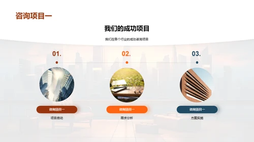 咨询业务全景解析