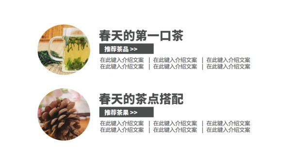 茶业店春茶产品介绍宣传手册通用PPT模板