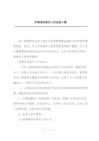 护理责任组长工作总结5篇.docx