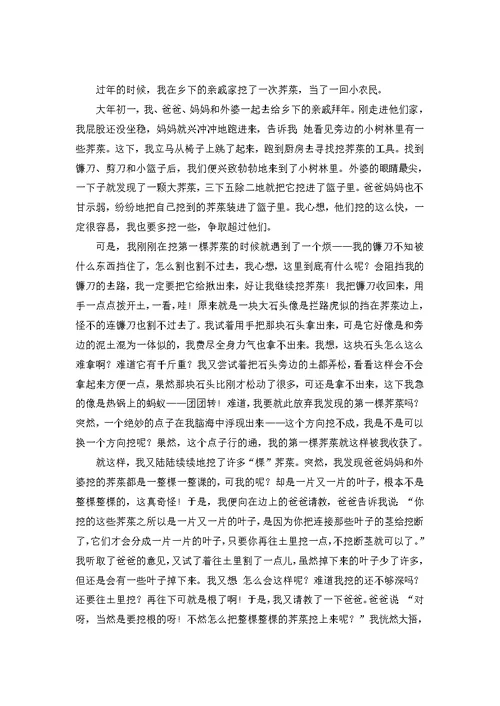 春节高中作文集合八篇