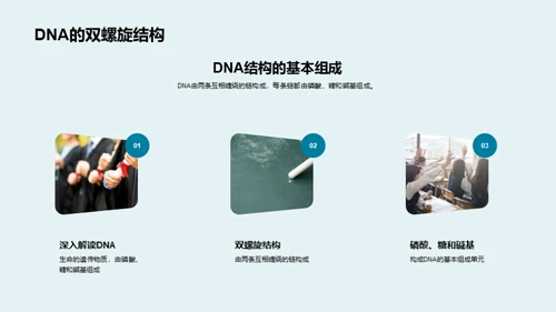 解码生命：DNA