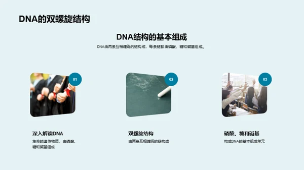 解码生命：DNA