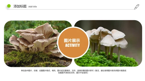 高清野生菌类动态PPT模板
