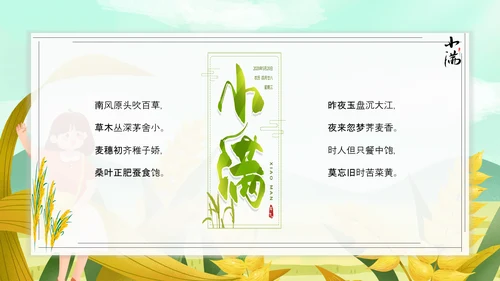 食粮丰收麦穗小满PPT模板