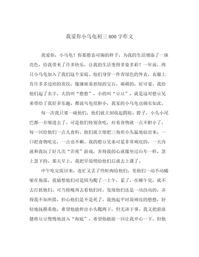 我爱你小乌龟初三800字作文