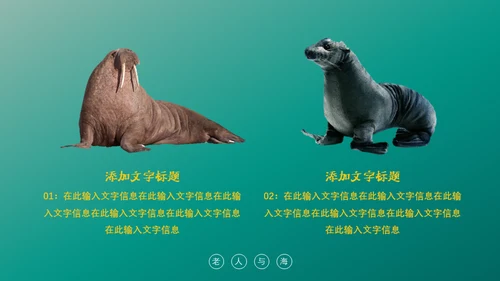 绿色海洋生物海洋资源通用PPT模板