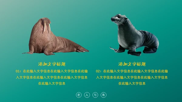 绿色海洋生物海洋资源通用PPT模板