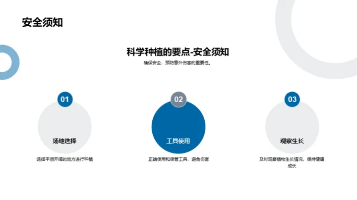 植树节生态行动
