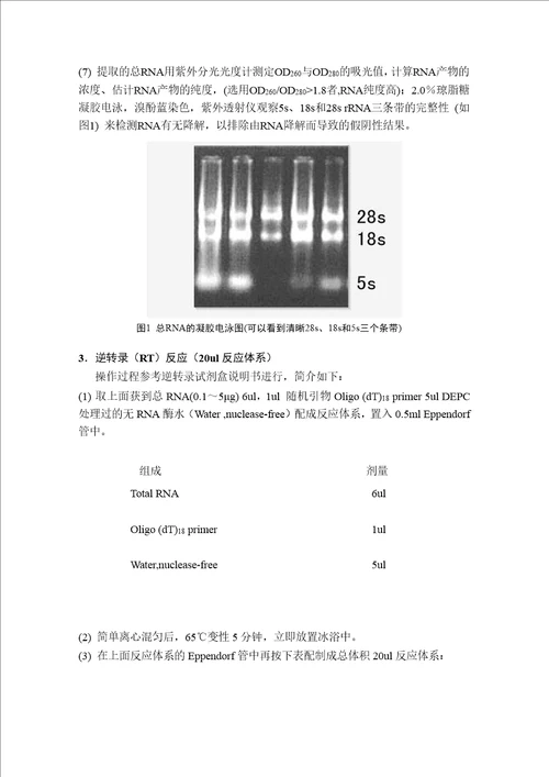 乳腺癌患者外周血中hmammrnamuc1mrna的表达与临床意义