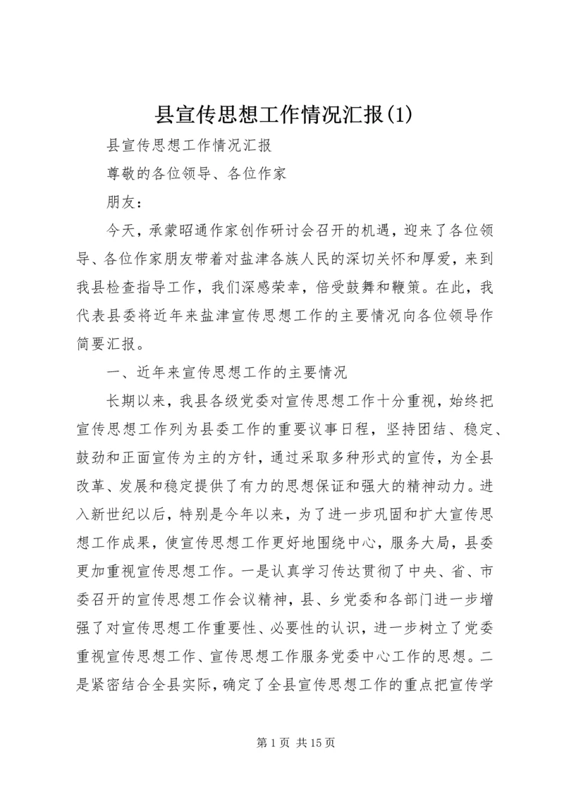 县宣传思想工作情况汇报(3).docx