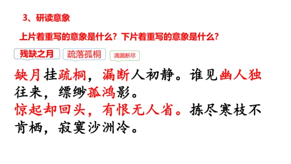 八年级下册第六单元课外古诗词诵读 卜算子.黄州定慧院寓居作 课件(共20张PPT)