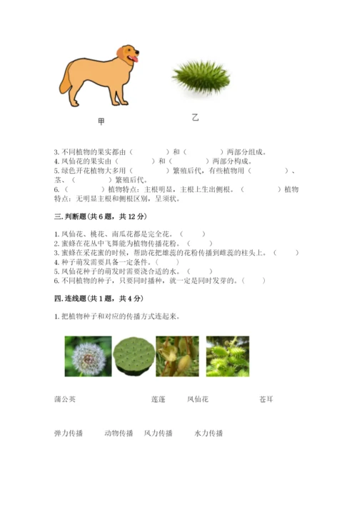 教科版四年级下册科学第一单元《植物的生长变化》测试卷附答案【巩固】.docx