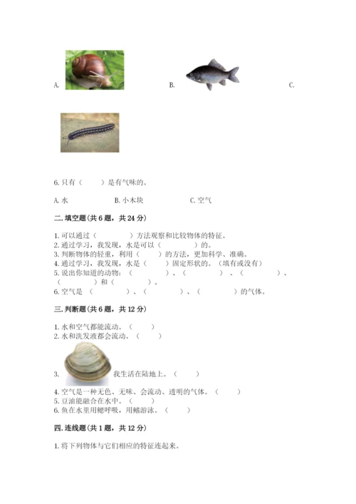教科版小学科学一年级下册期末测试卷附答案【典型题】.docx