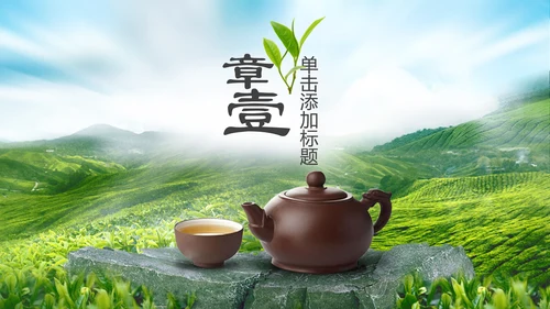 茶文化茶叶绿茶产品介绍动态PPT模板