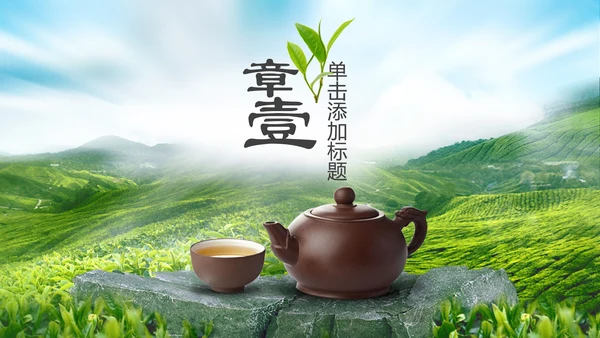 茶文化茶叶绿茶产品介绍动态PPT模板