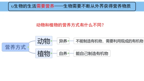 人教版（2024）七年级上册1.1.2生物的特征 课件(共24张PPT)