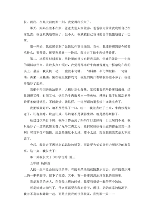 那一刻我长大了500字优秀.docx