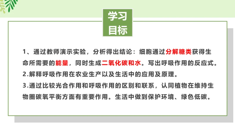 3.5.2 绿色植物的呼吸作用-2023-2024学年七年级生物上册优质课件（人教版）(共18张PP